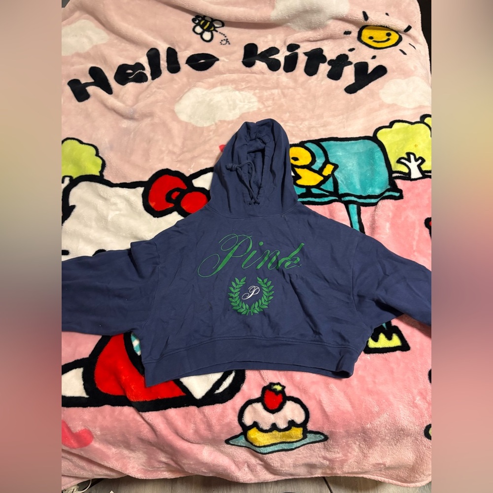 PINK by Victoria secret  Blue Cropped Hoodie with Green Embroidery